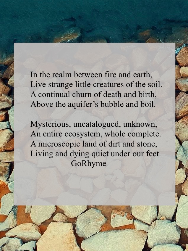 Poetry by Kelly Gray